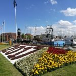 Hull - Marina
