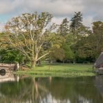 Maynooth, Maynooth University