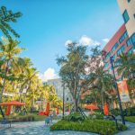 Miami, University of Miami