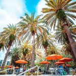 Miami, University of Miami