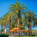 Miami, University of Miami