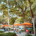 Miami, University of Miami