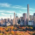 Boston + New York, Cats Academy + Wagner College