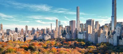 Boston + New York, Cats Academy + Wagner College