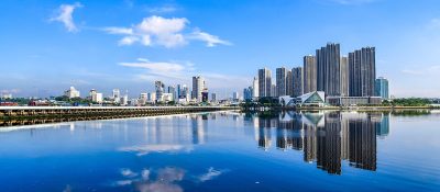 Malesia, Forest City International School